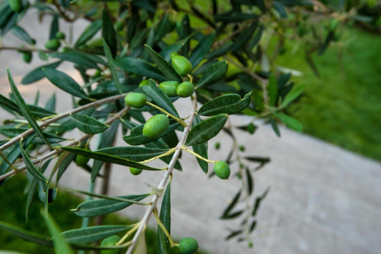 Olive 201 Apartment Peraia  Bagian luar foto